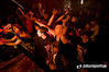 Filename=IMG_7026.jpg
Filesize=128KB
Dimensions=660x440
Date added=Feb 25, 2008 IMG_7026.jpg